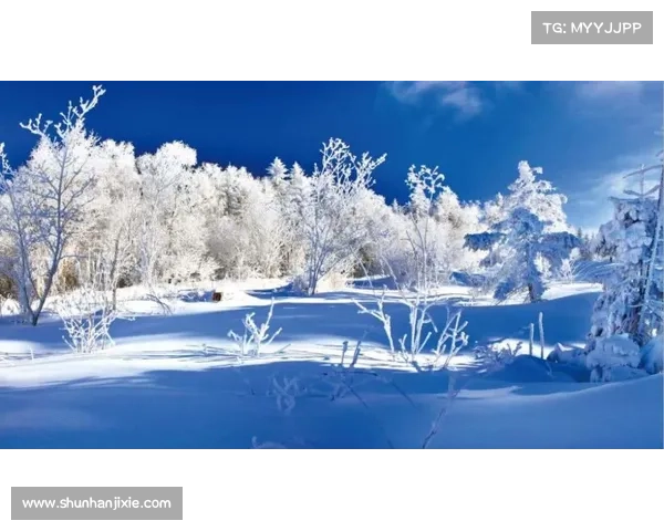 冬季湖畔探秘之旅:沉浸自然魅力体验冰雪世界的绝美景致 冬季湖畔探秘之旅:沉浸自然魅力体验冰雪世界的绝美景致