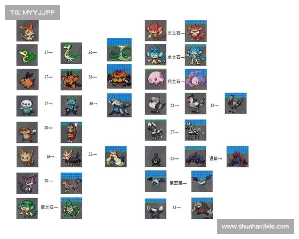 《口袋妖怪黑白金手指全功能解析与使用技巧详尽指南》 《口袋妖怪黑白金手指全功能解析与使用技巧详尽指南》
