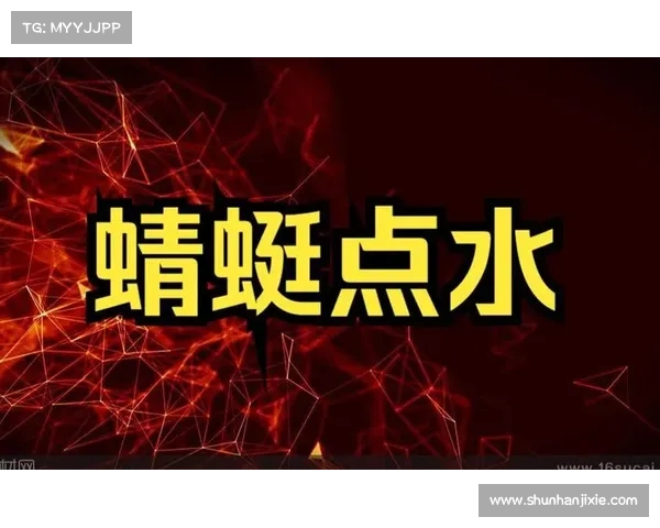 蜻蜓点水般的在线探索技巧揭示轻松掌握信息快速获取的秘密 蜻蜓点水般的在线探索技巧揭示轻松掌握信息快速获取的秘密